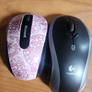 2 Mouses